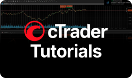 C Trader – Anleitungen